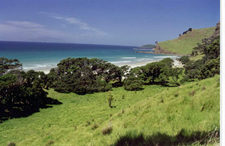 New Zealand-North Island-Warrior Trail